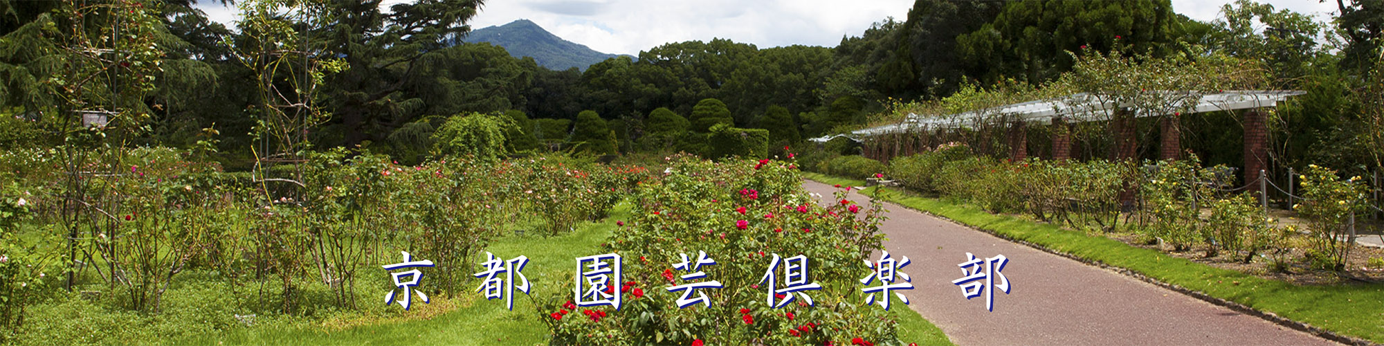 京都園芸倶楽部