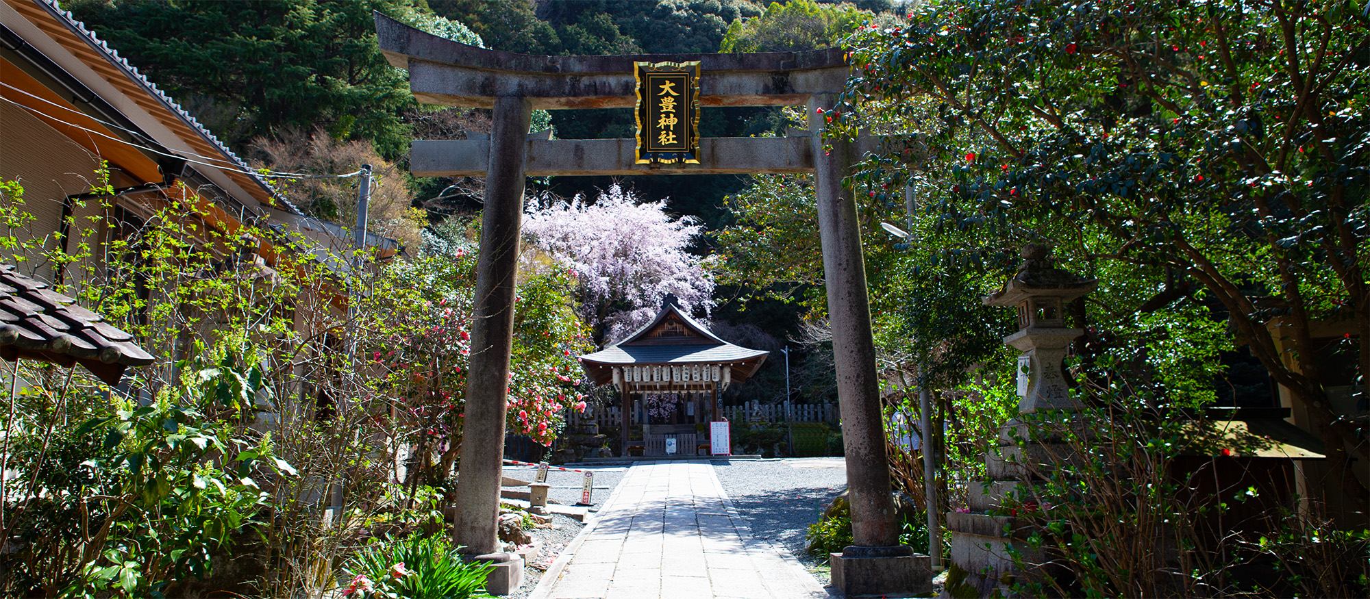 京都園芸倶楽部